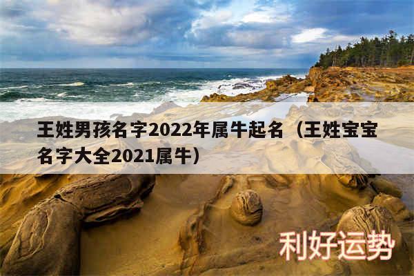 王姓男孩名字2024年属牛起名以及王姓宝宝名字大全2024属牛