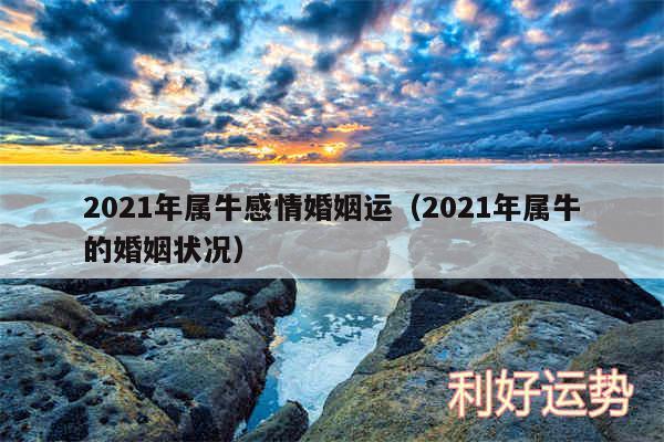 2024年属牛感情婚姻运以及2024年属牛的婚姻状况