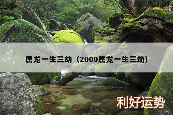 属龙一生三劫以及2000属龙一生三劫