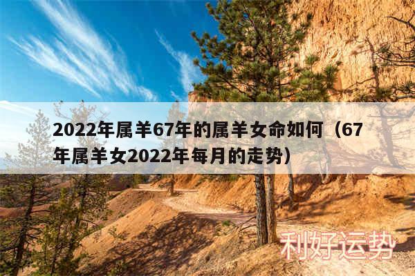 2024年属羊67年的属羊女命如何以及67年属羊女2024年每月的走势