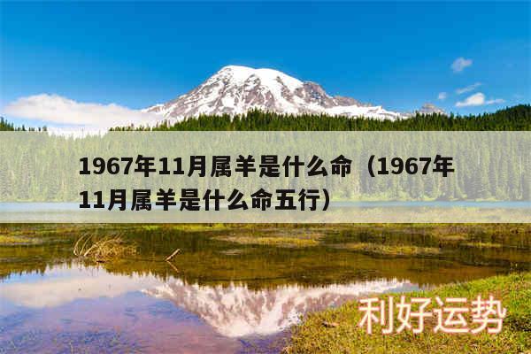 1967年11月属羊是什么命以及1967年11月属羊是什么命五行