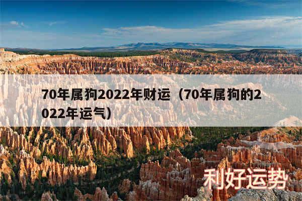 70年属狗2024年财运以及70年属狗的2024年运气