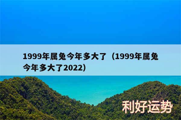 1999年属兔今年多大了以及1999年属兔今年多大了2024