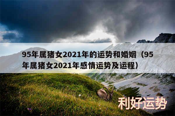 95年属猪女2024年的运势和婚姻以及95年属猪女2024年感情运势及运程