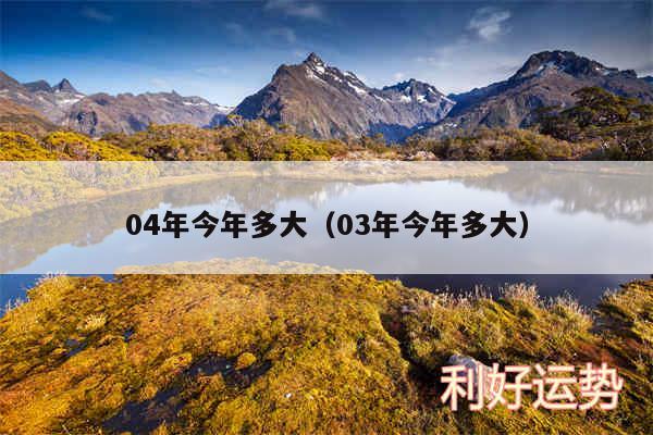 04年今年多大以及03年今年多大