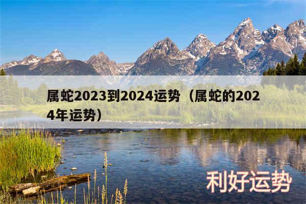 属蛇2024到2024运势以及属蛇的2024年运势