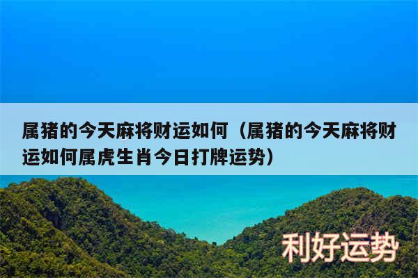 属猪的今天麻将财运如何以及属猪的今天麻将财运如何属虎生肖今日打牌运势