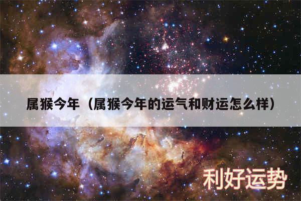 属猴今年以及属猴今年的运气和财运怎么样