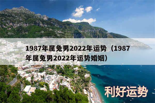 1987年属兔男2024年运势以及1987年属兔男2024年运势婚姻