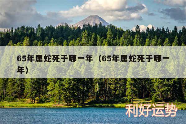 65年属蛇死于哪一年以及65年属蛇死于哪一年