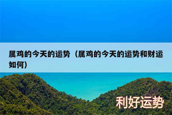 属鸡的今天的运势以及属鸡的今天的运势和财运如何