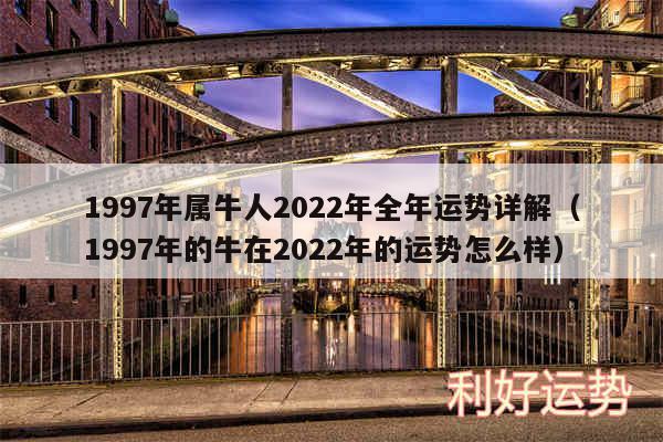 1997年属牛人2024年全年运势详解以及1997年的牛在2024年的运势怎么样