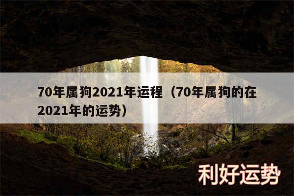 70年属狗2024年运程以及70年属狗的在2024年的运势