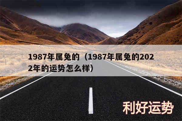 1987年属兔的以及1987年属兔的2024年的运势怎么样