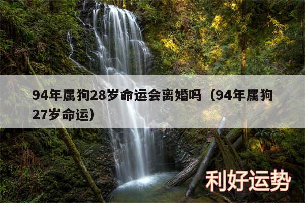 94年属狗28岁命运会离婚吗以及94年属狗27岁命运