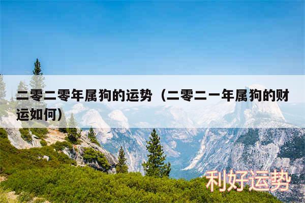 二零二零年属狗的运势以及二零二一年属狗的财运如何