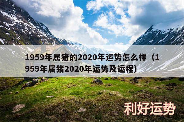 1959年属猪的2020年运势怎么样以及1959年属猪2020年运势及运程