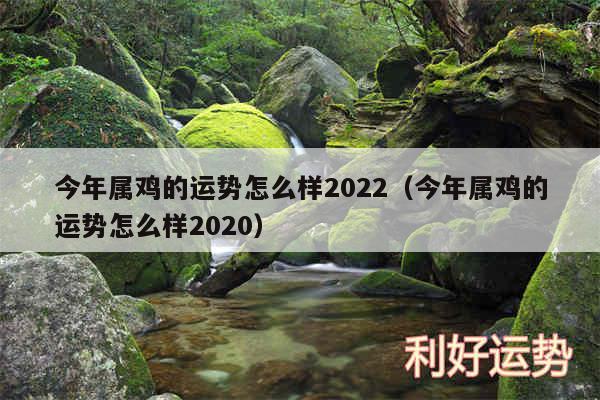 今年属鸡的运势怎么样2024以及今年属鸡的运势怎么样2020