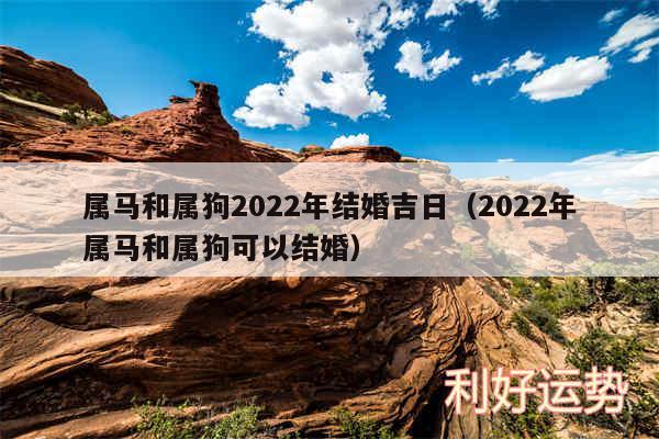 属马和属狗2024年结婚吉日以及2024年属马和属狗可以结婚