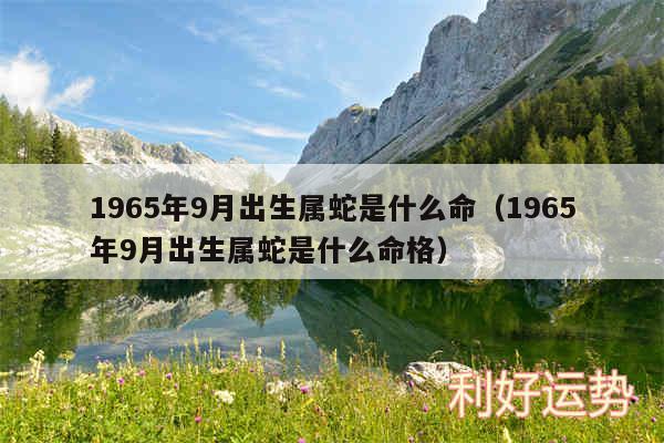 1965年9月出生属蛇是什么命以及1965年9月出生属蛇是什么命格