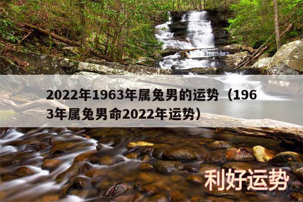 2024年1963年属兔男的运势以及1963年属兔男命2024年运势