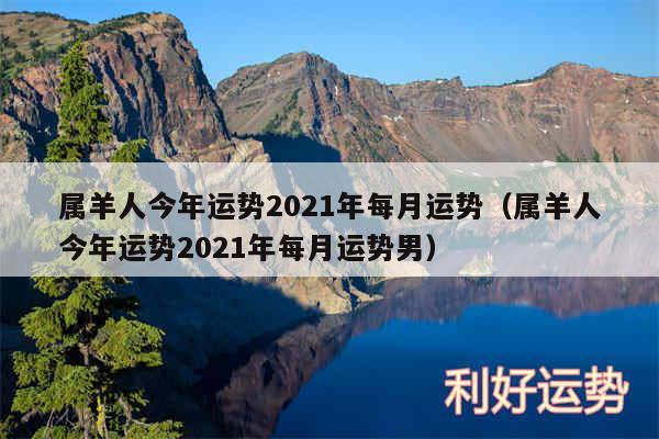 属羊人今年运势2024年每月运势以及属羊人今年运势2024年每月运势男