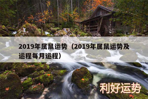 2019年属鼠运势以及2019年属鼠运势及运程每月运程