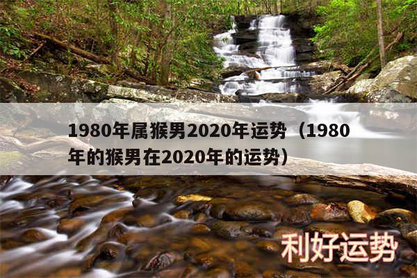 1980年属猴男2020年运势以及1980年的猴男在2020年的运势