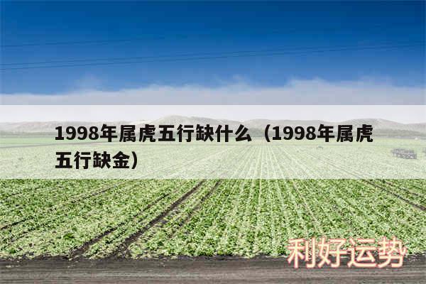 1998年属虎五行缺什么以及1998年属虎五行缺金