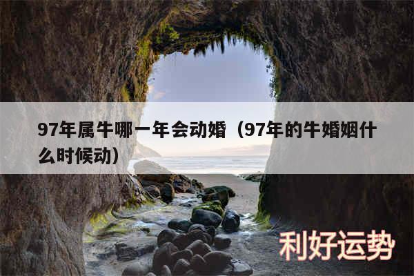 97年属牛哪一年会动婚以及97年的牛婚姻什么时候动