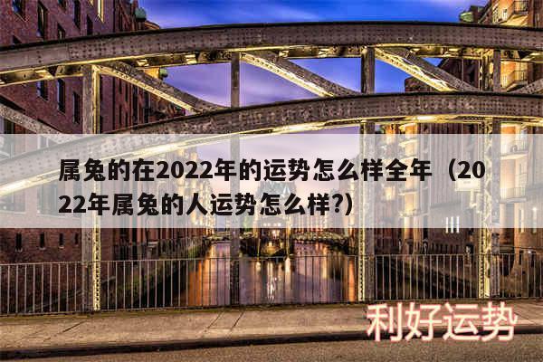 属兔的在2024年的运势怎么样全年以及2024年属兔的人运势怎么样?