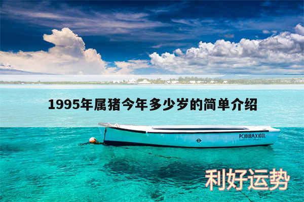 1995年属猪今年多少岁的简单介绍