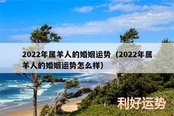 2024年属羊人的婚姻运势以及2024年属羊人的婚姻运势怎么样