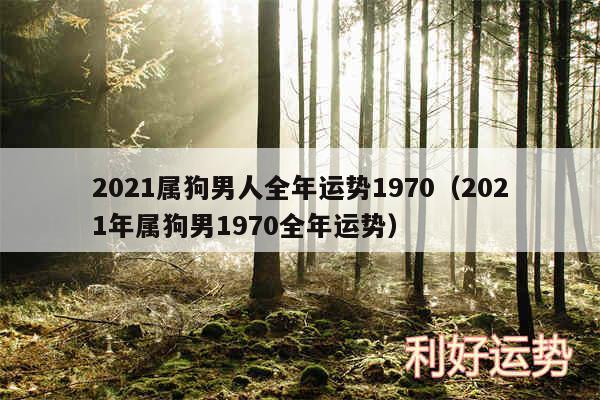 2024属狗男人全年运势1970以及2024年属狗男1970全年运势