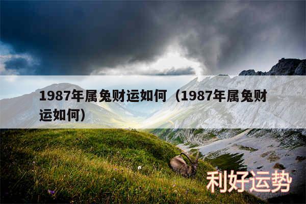 1987年属兔财运如何以及1987年属兔财运如何