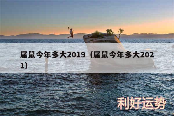 属鼠今年多大2019以及属鼠今年多大2024