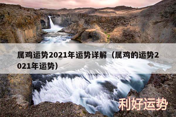 属鸡运势2024年运势详解以及属鸡的运势2024年运势