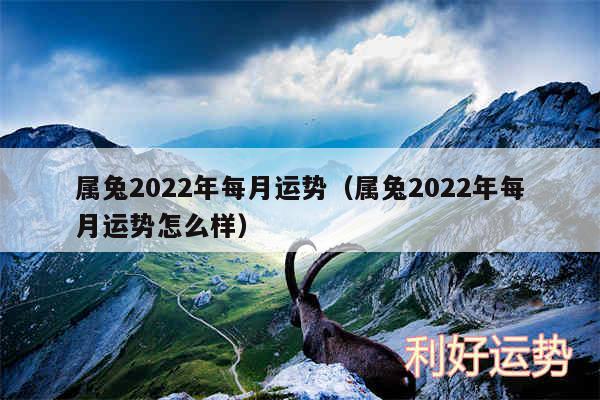 属兔2024年每月运势以及属兔2024年每月运势怎么样