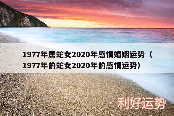 1977年属蛇女2020年感情婚姻运势以及1977年的蛇女2020年的感情运势