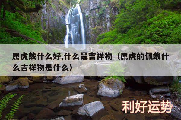 属虎戴什么好,什么是吉祥物以及属虎的佩戴什么吉祥物是什么