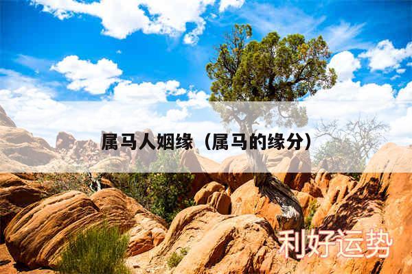 属马人姻缘以及属马的缘分