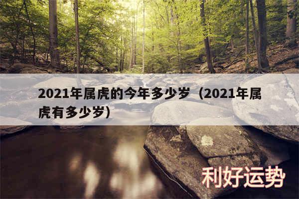 2024年属虎的今年多少岁以及2024年属虎有多少岁