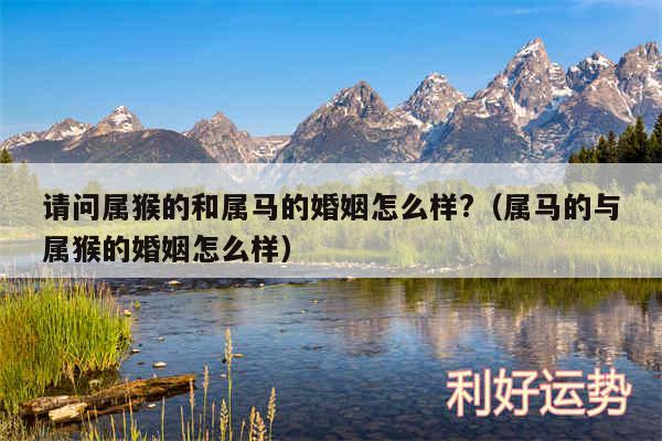 请问属猴的和属马的婚姻怎么样?以及属马的与属猴的婚姻怎么样