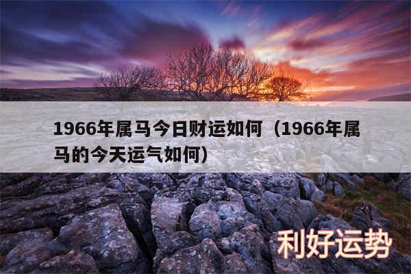 1966年属马今日财运如何以及1966年属马的今天运气如何