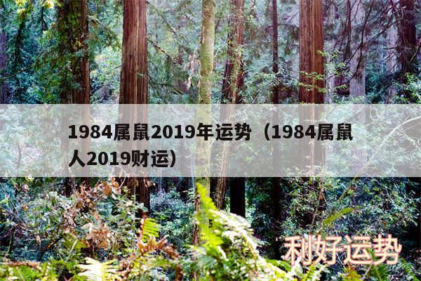 1984属鼠2019年运势以及1984属鼠人2019财运