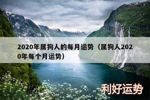 2020年属狗人的每月运势以及属狗人2020年每个月运势