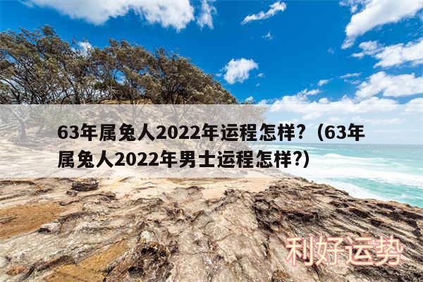 63年属兔人2024年运程怎样?以及63年属兔人2024年男士运程怎样?