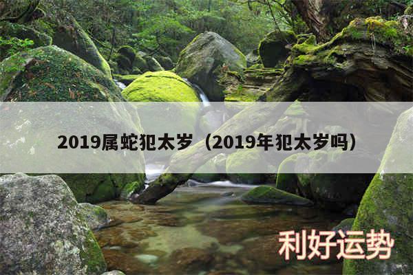 2019属蛇犯太岁以及2019年犯太岁吗