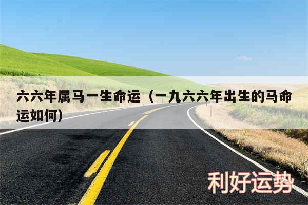 六六年属马一生命运以及一九六六年出生的马命运如何