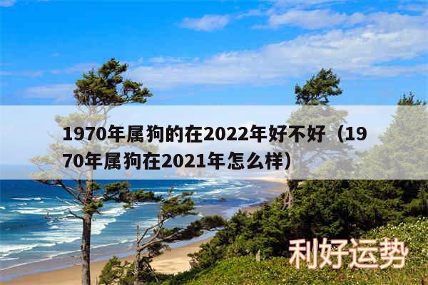 1970年属狗的在2024年好不好以及1970年属狗在2024年怎么样